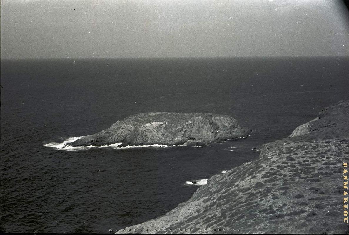 CAP FALCON PAR MONNERET   (8).JPG